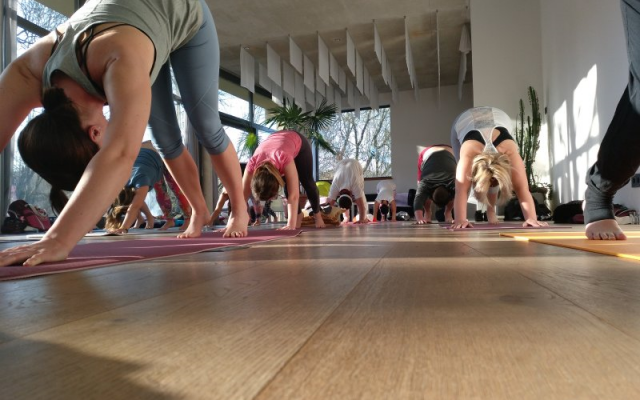 Yoga